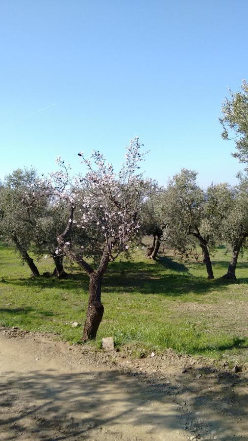 Casa vacanze Cal Joanet, Acollidora Caseta A *